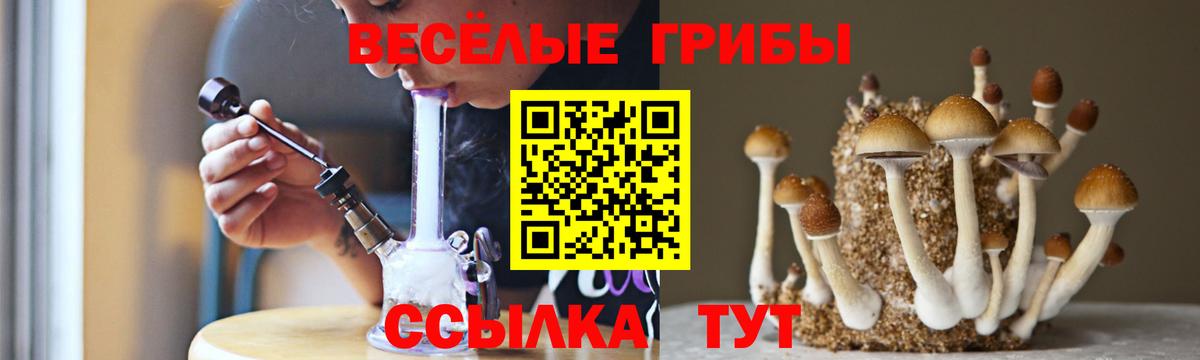 Зима  Псилоцибиновые грибы Psilocybe  Вход с VPN  Галлюциногенные грибы Psilocybe 